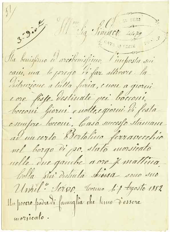 Lettera in favore dell'uccisione dei cani vaganti