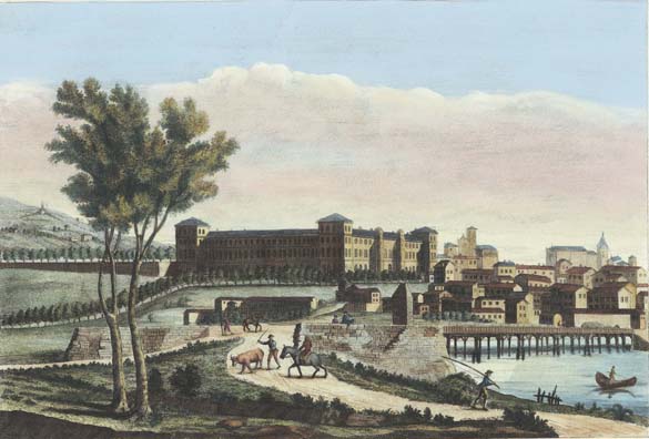 Moncalieri. In primo piano una mucca e un cavallo