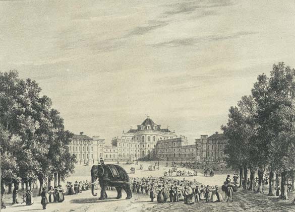 L'elefante Fritz a Stupinigi