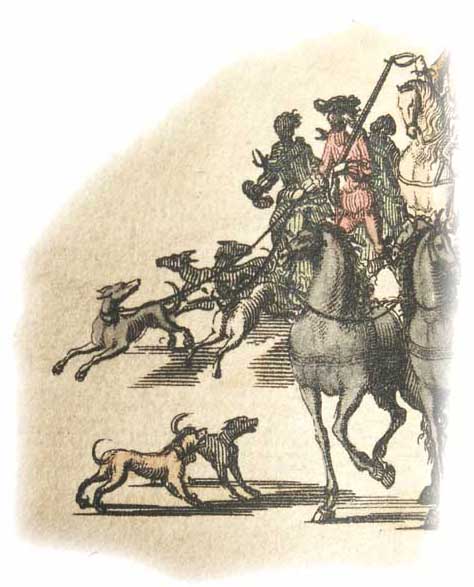 Particolare di una tavola del Theatrum Sabaudiae