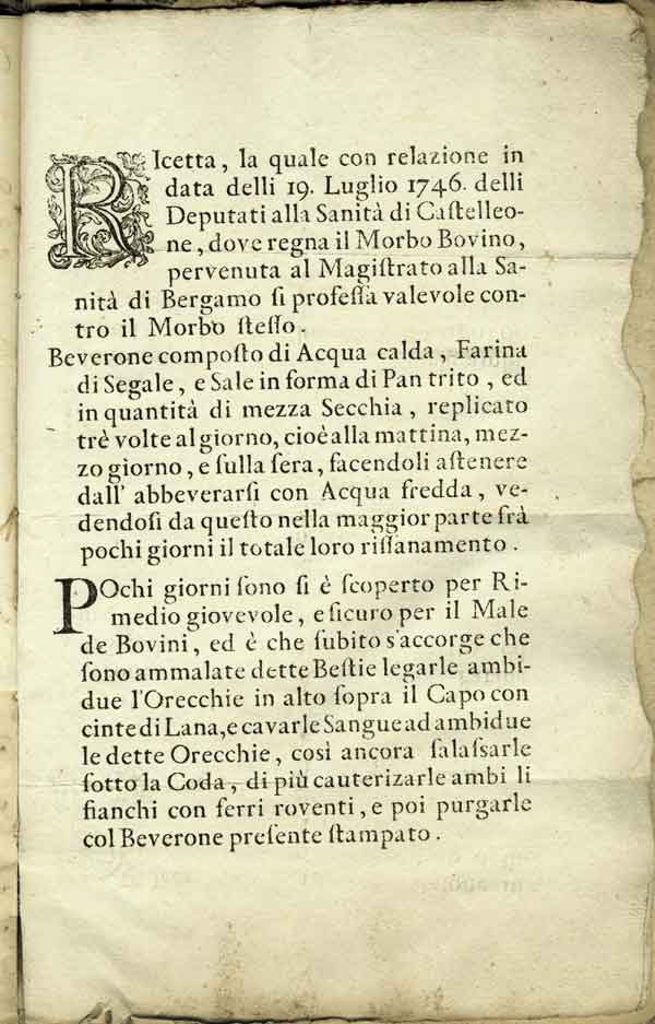 Rimedi contro le epizoozie