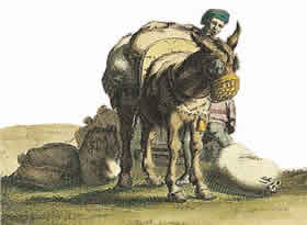 Immagine tratta dalle tavole del Theatrum Sabaudiae