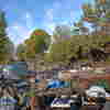 Foto 03 Carcano
