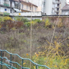 Foto 03 Crea 14/A
