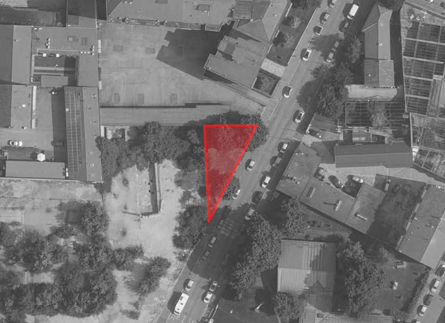 Immagine web articolo Bellardi 71