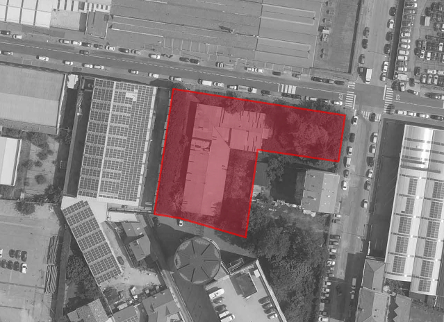 Immagine web articolo Orbetello 113 Lotto 8