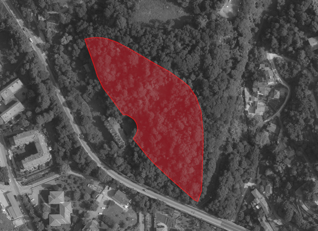 Immagine web articolo Traforo Pino 67