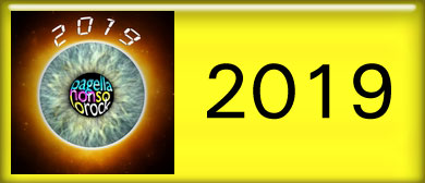 Selezioni Pagella Non Solo Rock 2019