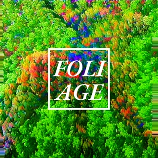 foto Foliage