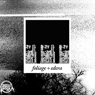 foto Foliage x Edera