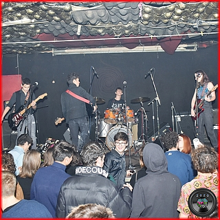 foto four leaves left