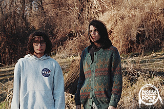 foto Millais Flower Honey