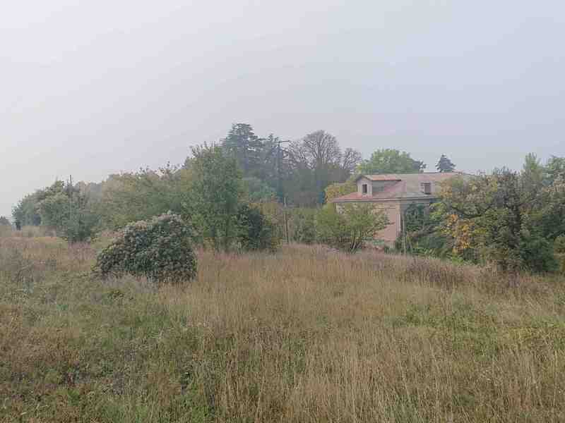 Foto 01 Chieri Moglia 10