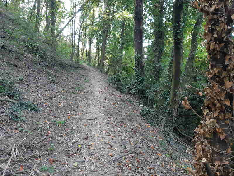 Foto 01 Traforo Pino 67